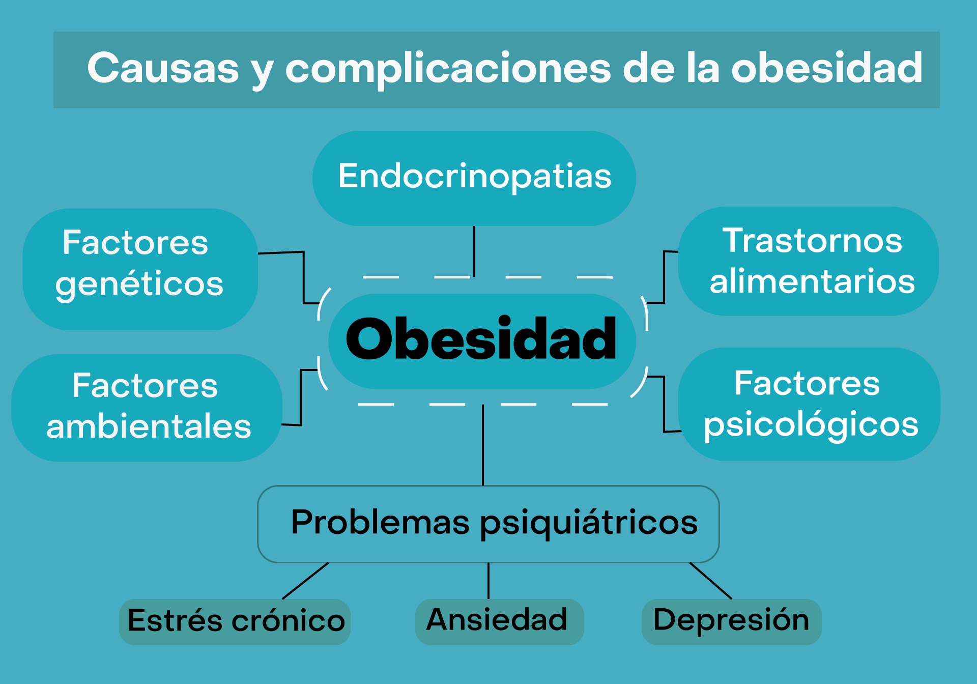 obesidad-causas